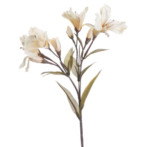 Alstroemeria Lily Spray | Cream