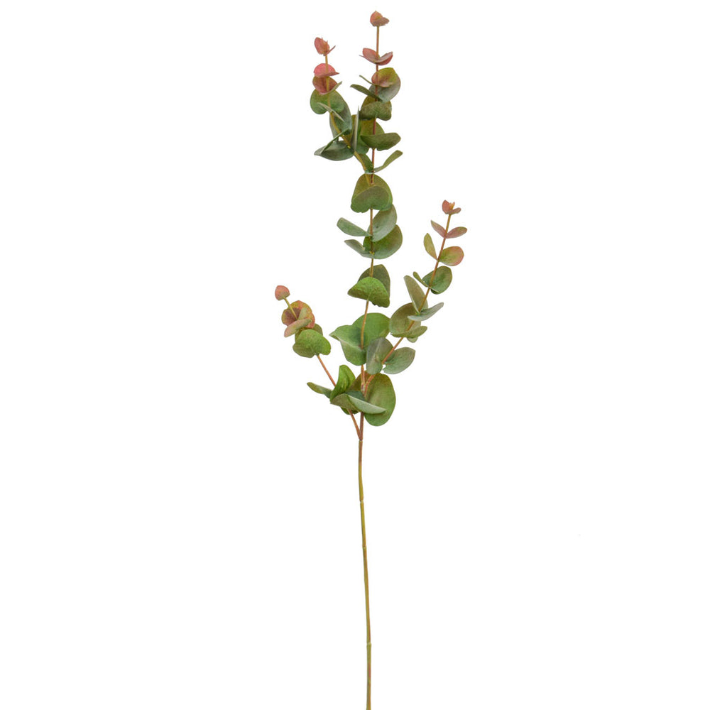 Eucalyptus Filler | Green/Red | 2 Sizes