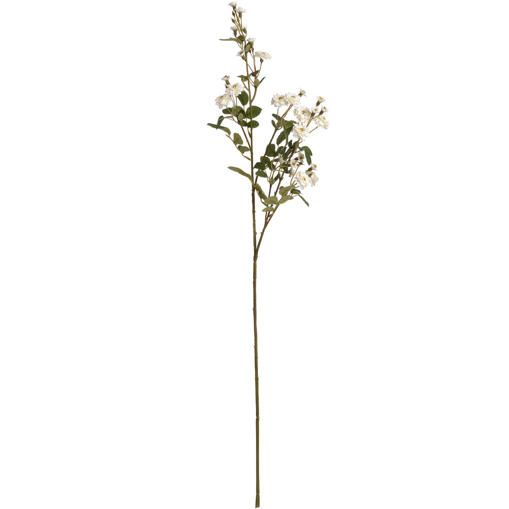 Wild Meadow Rose | White