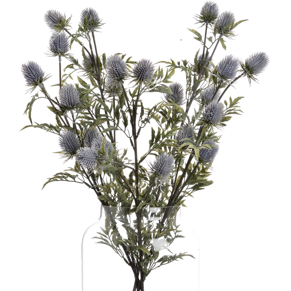 
            
                Load image into Gallery viewer, Eryngium Thistle | Blue
            
        