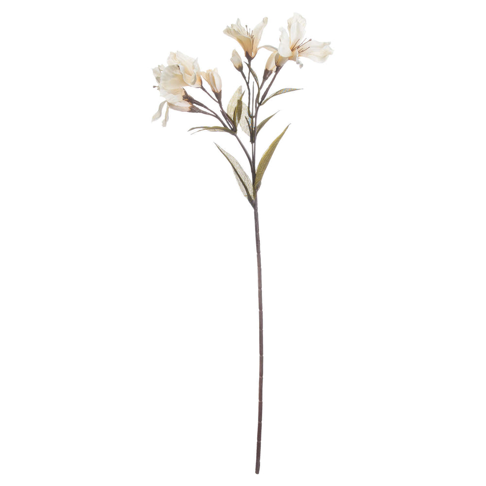 
            
                Load image into Gallery viewer, Alstroemeria Lily Spray | Cream
            
        