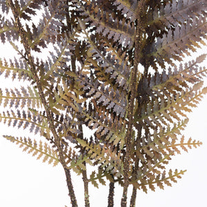 
            
                Load image into Gallery viewer, Autumn Fern | 2 Colours
            
        