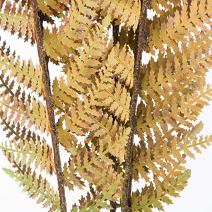 
            
                Load image into Gallery viewer, Autumn Fern | 2 Colours
            
        