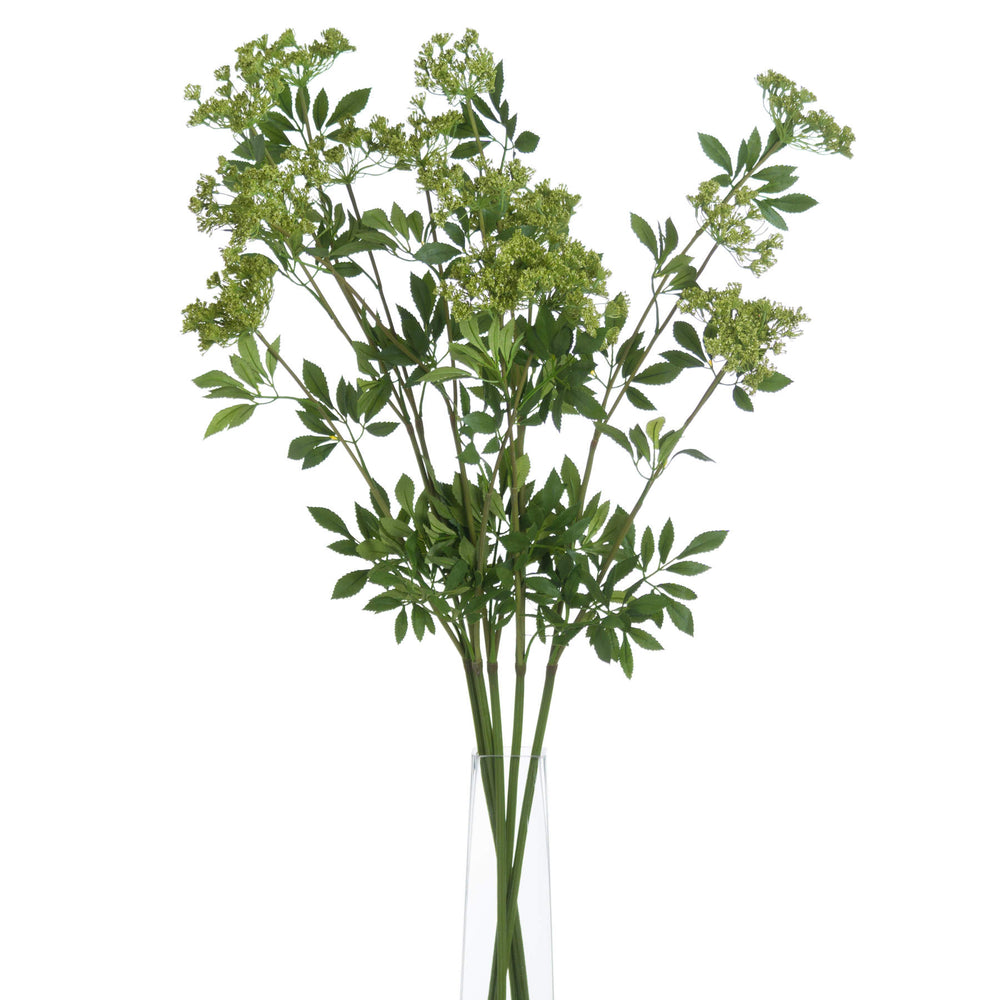 
            
                Load image into Gallery viewer, Cow Parsley | Green
            
        