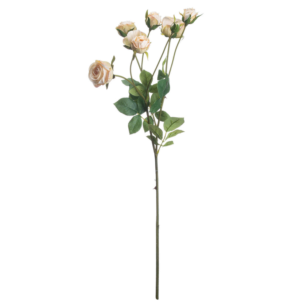 Rose Spray | Peach