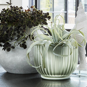 Ribbed Flower Pot | Laurel