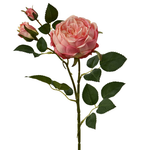 Large Peony Spray | Bright Pink