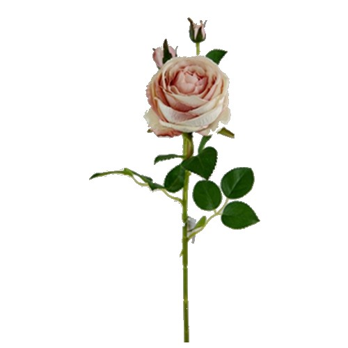 Large Peony Spray | Pale Pink