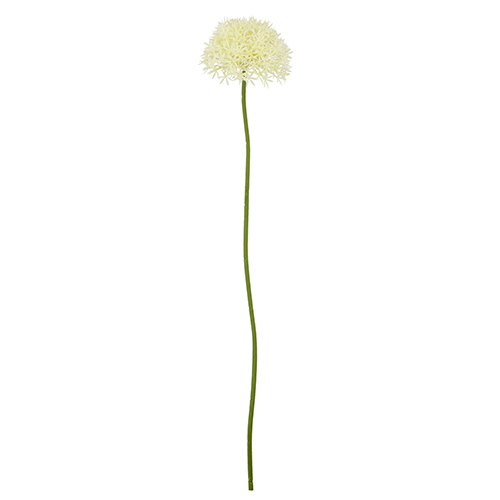 Cream & Green Bunch