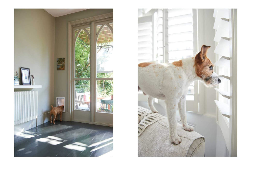 
            
                Load image into Gallery viewer, Book | Cool Dogs Cool Homes
            
        