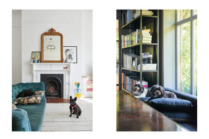 Book | Cool Dogs Cool Homes