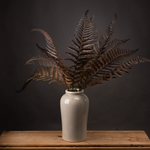 Autumn Fern | 2 Colours