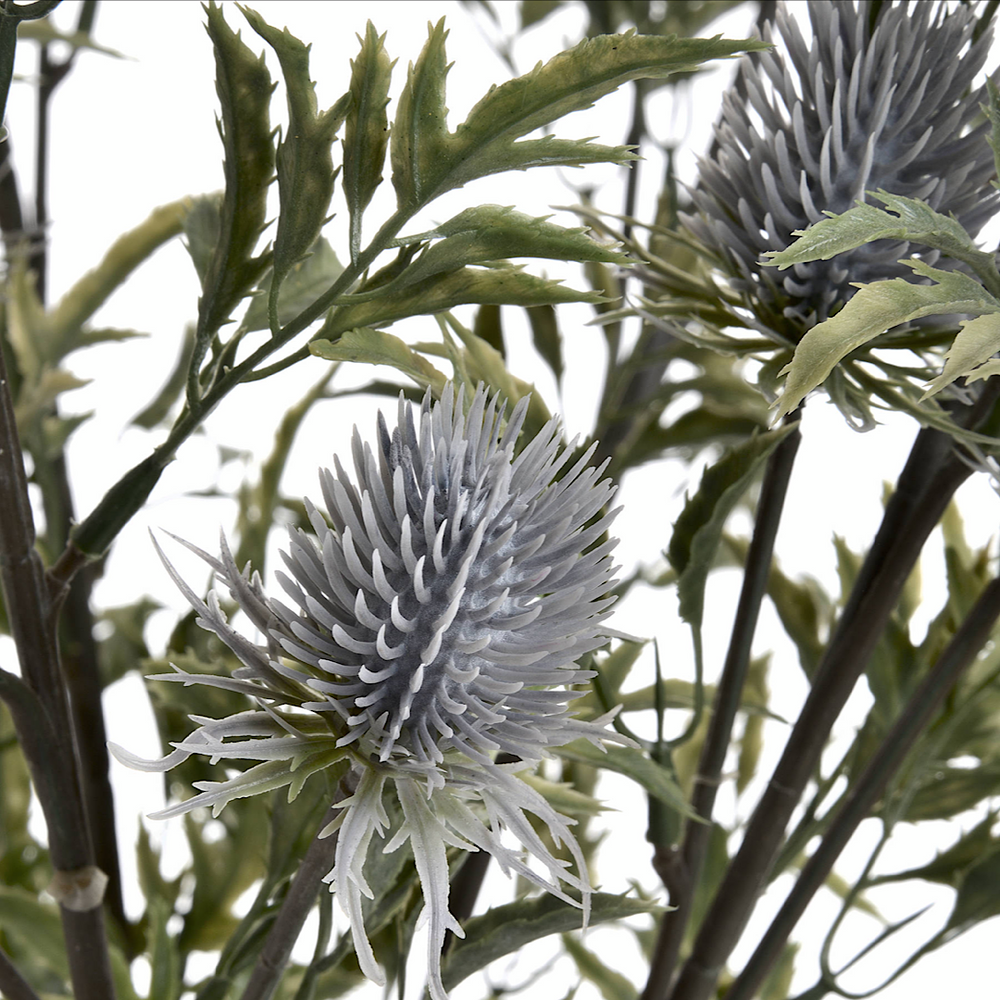 
            
                Load image into Gallery viewer, Eryngium Thistle | Blue
            
        