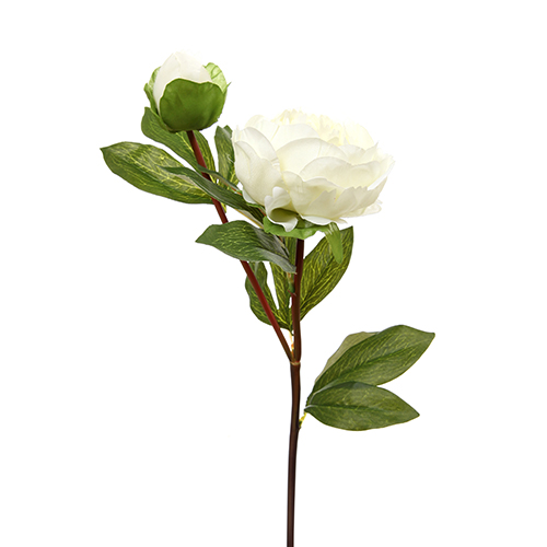 Cream & Green Bunch