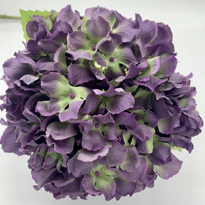 Small Hydrangea | Antique Green/Purple