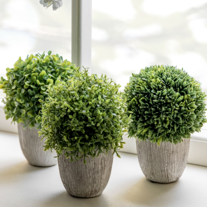 
            
                Load image into Gallery viewer, Topiary Trio | Set of 3
            
        