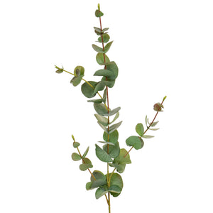 Eucalyptus Filler | Green | 2 Sizes