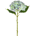 Small Hydrangea | Pale Blue