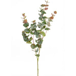 Eucalyptus Filler | Green/Red | 2 Sizes