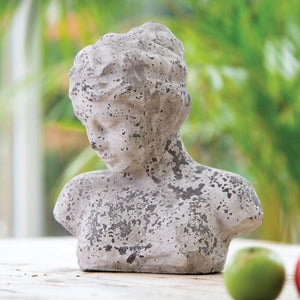 
            
                Load image into Gallery viewer, Stone Bust
            
        