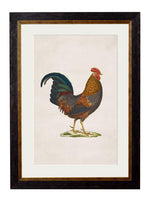 Bronze Chicken Print