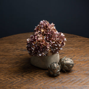 Giant Hydrangea | Coffee | Short Stem