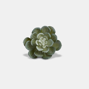 
            
                Load image into Gallery viewer, Echeveria Napkin Rings | Set of 2
            
        