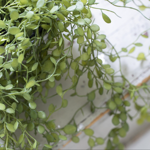 String of Nickels