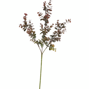 Eucalyptus Stem | Winter | 66cm