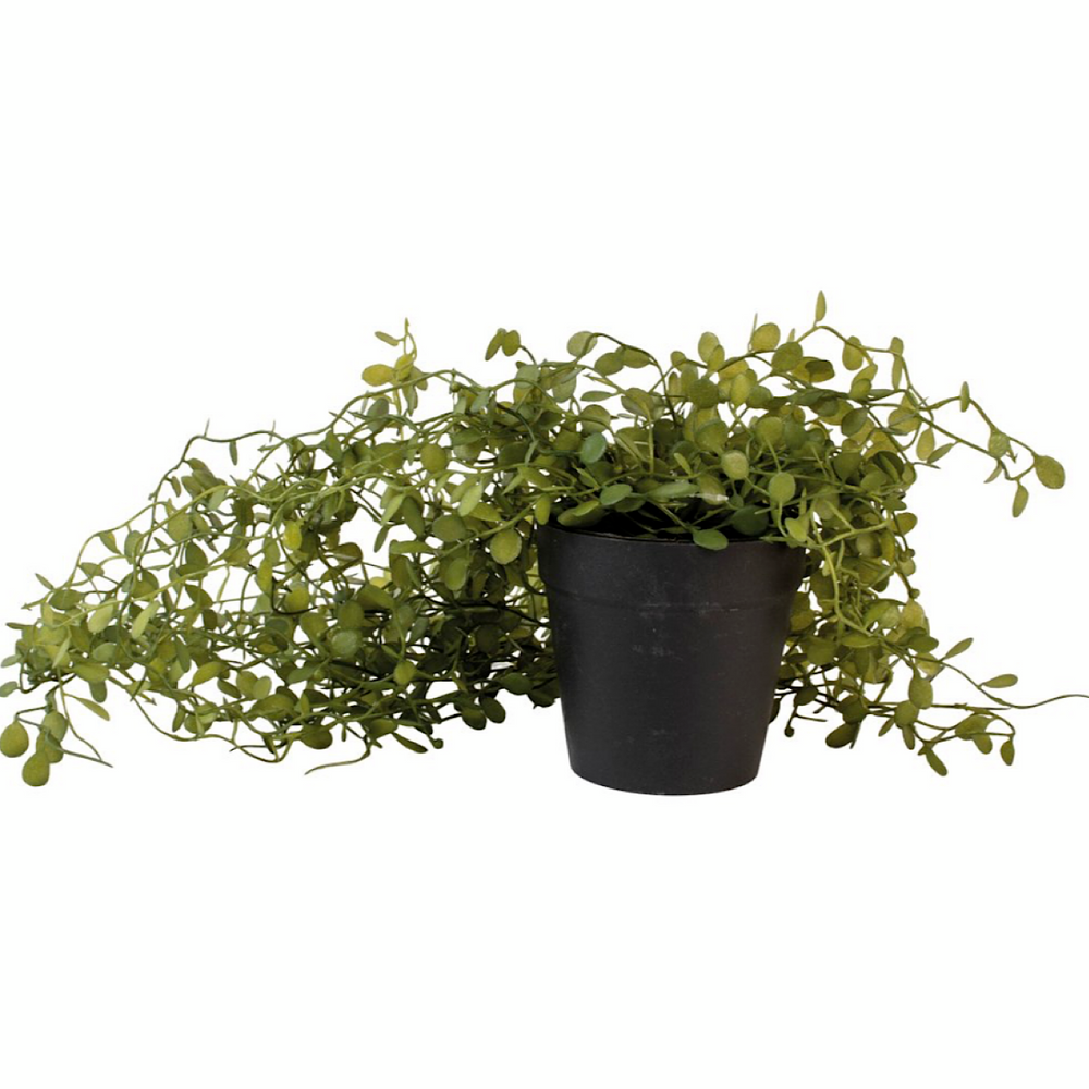 String of Nickels
