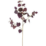 Purple Cotinus Branch