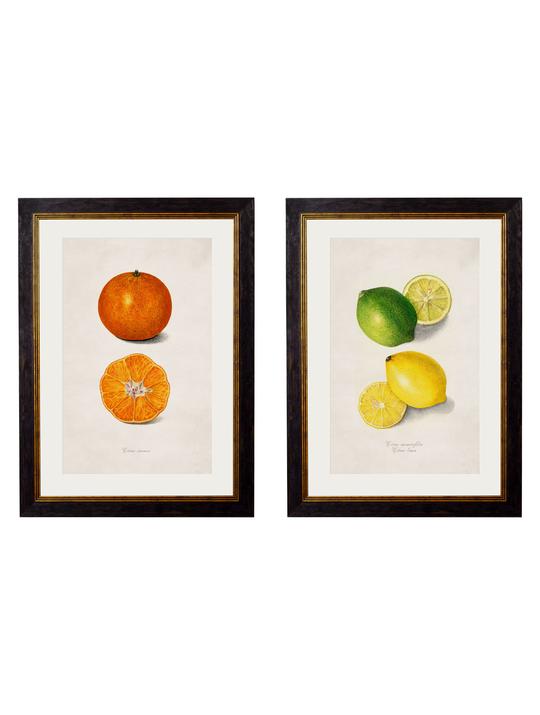 Lemon & Lime Print