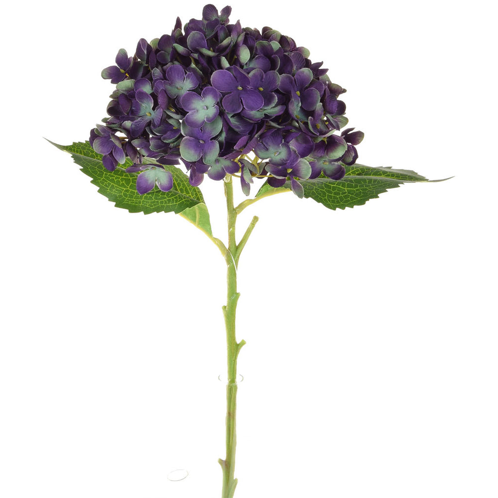 Small Hydrangea | Antique Purple