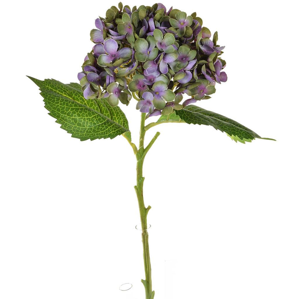 Small Hydrangea | Antique Green/Purple