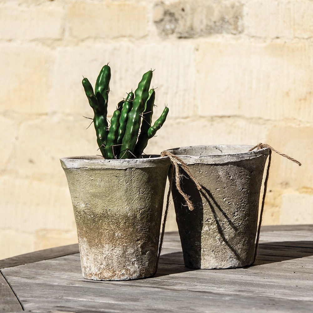 Whitestone Cactus Pot & Saucer | 2 Sizes