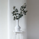 Olive Branch